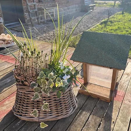 La Ferme Au Bois Dormant Bed & Breakfast