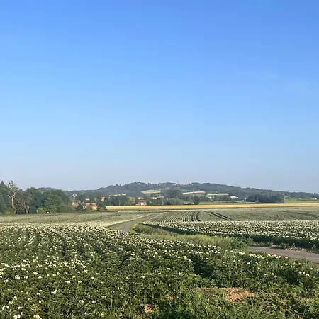 La Ferme Au Bois Dormant Bed & Breakfast